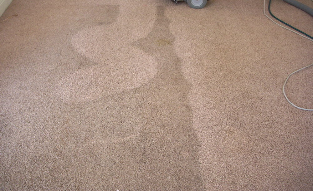 Anthony Peter Carpet Upholstery Carpet Rug Cleaning Brooklyn